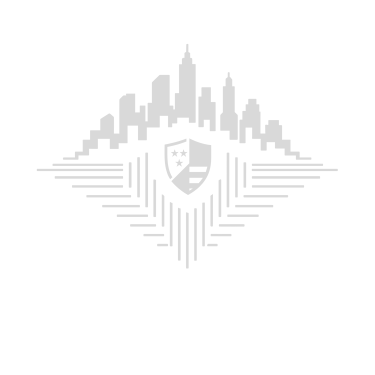 Skyline Crest Hoodie