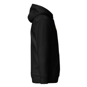 We Rise Collegiate Hoodie - Black