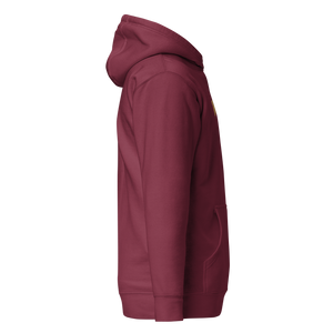 We Rise Collegiate Hoodie - Maroon